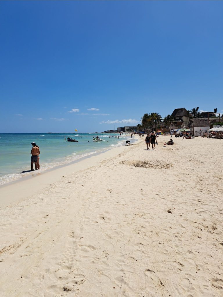 Sargassum alert raised for Cancun and the rest of the Mexican Caribbean