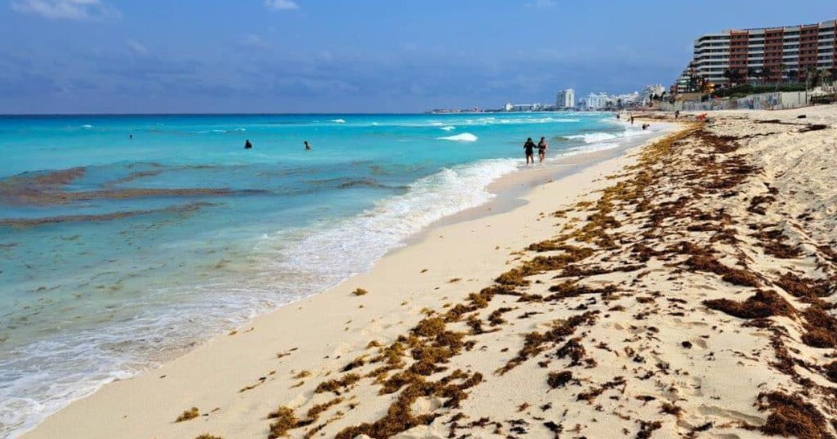 Cancun Resorts Brace For Massive Sargassum Seaweed Influx
