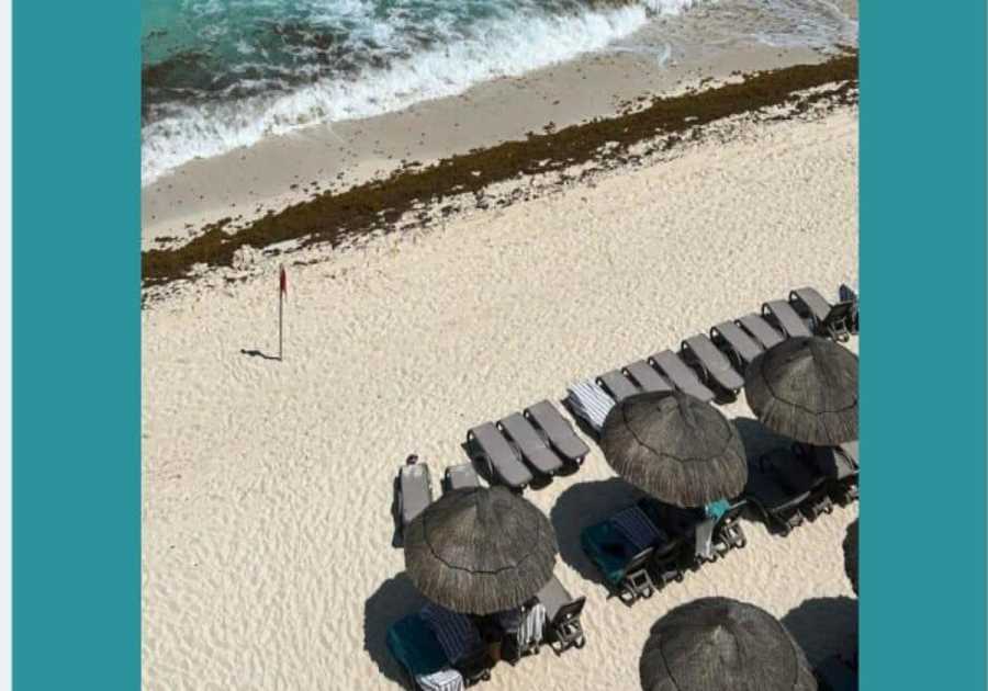 Cancun's beaches will be free of sargassum by 2024