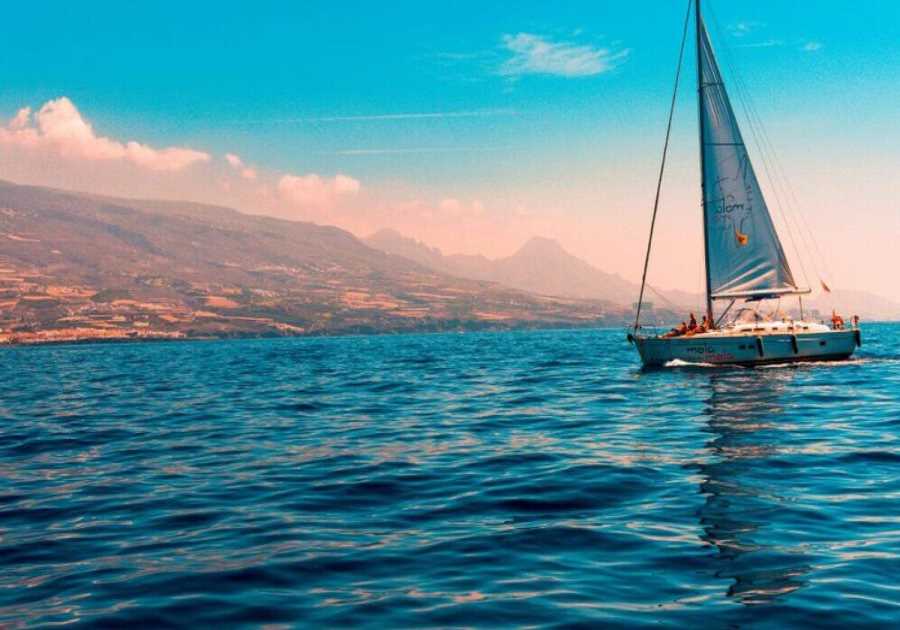 Why You Should Book a Family Sail Vacation