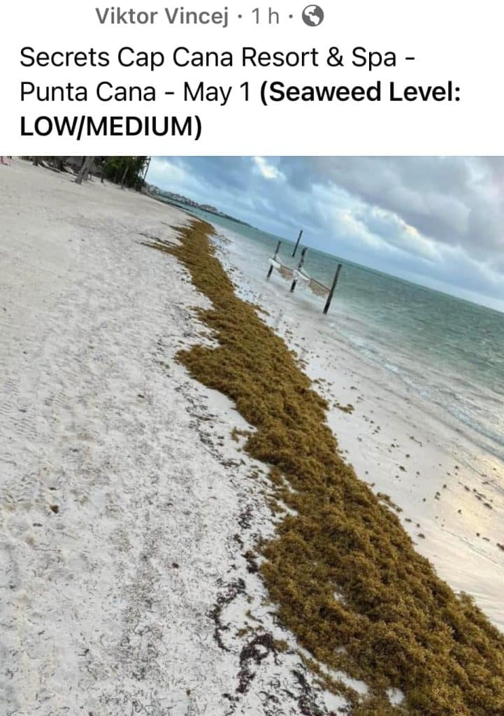 Dominican Republic Beach Town Declares State Of Emergency Facing Crisis beyond Seaweed Problems