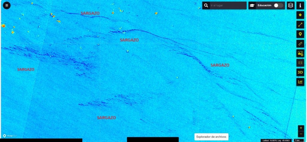 Seaweed Alert: 5,000 Square Kilometers Of Sargassum Heading To Mexican Caribbean