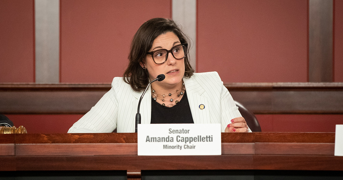 Senator Amanda Cappelletti Announces 2023-2024 Committee Assignments - Pennsylvania Senate Democrats