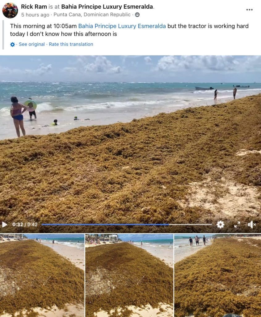 These 6 Caribbean Travel Hotspots To See Record Seaweed Invasion In Summer 2024