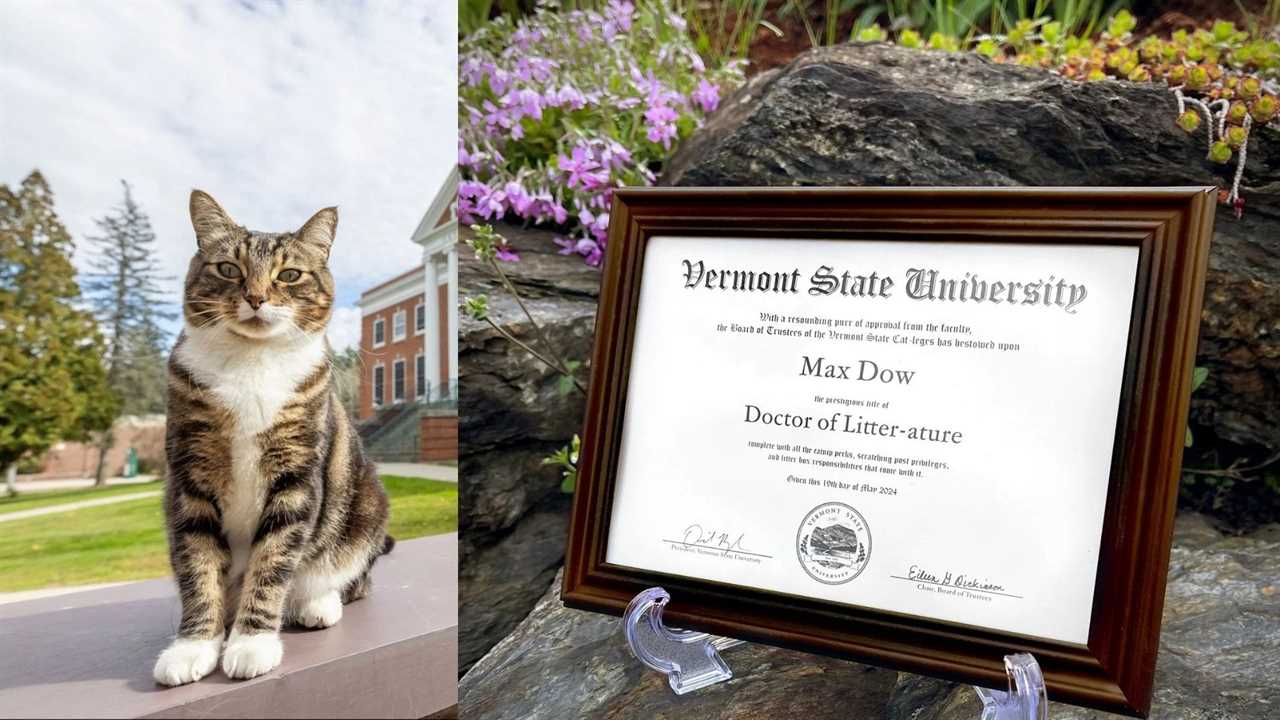 US University Grants Honorary Degree To A Cat; 'Doctor of Litter-ature'