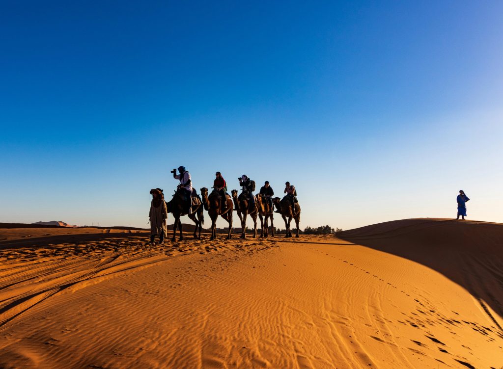 a desert safari in riyadh, saudi arabia 