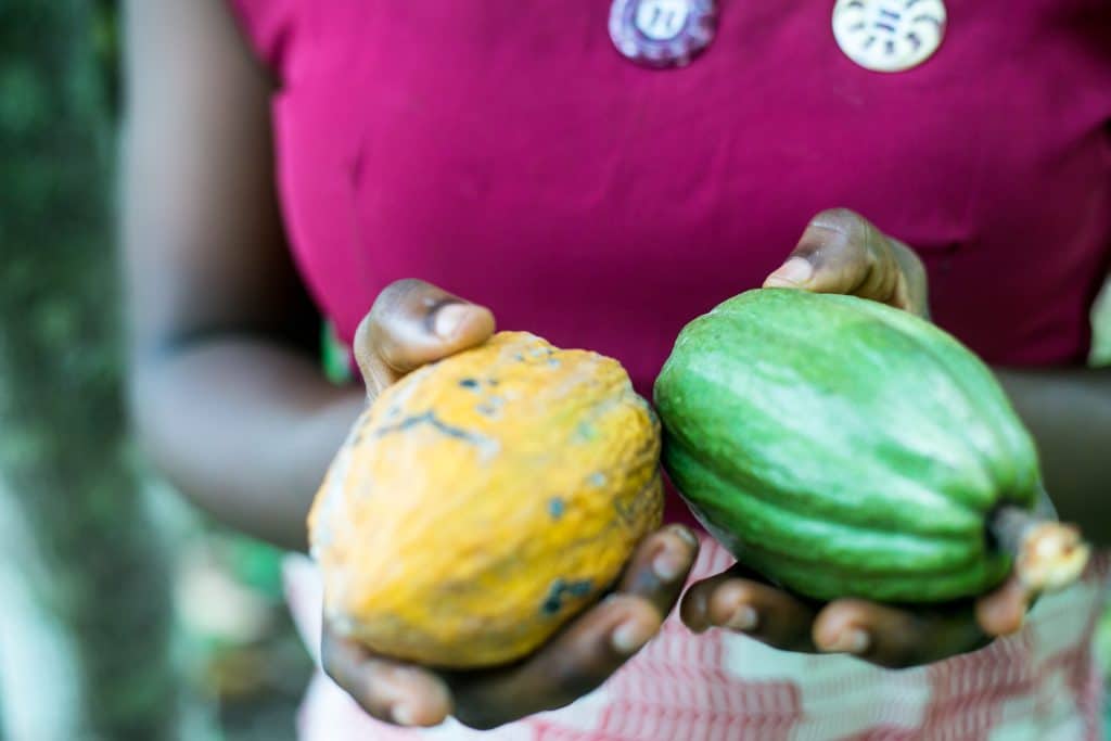 This Small Island Is Redefining Eco-Tourism In The Caribbean