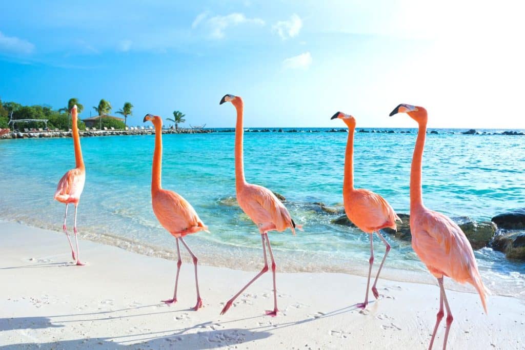 best beaches in aruba