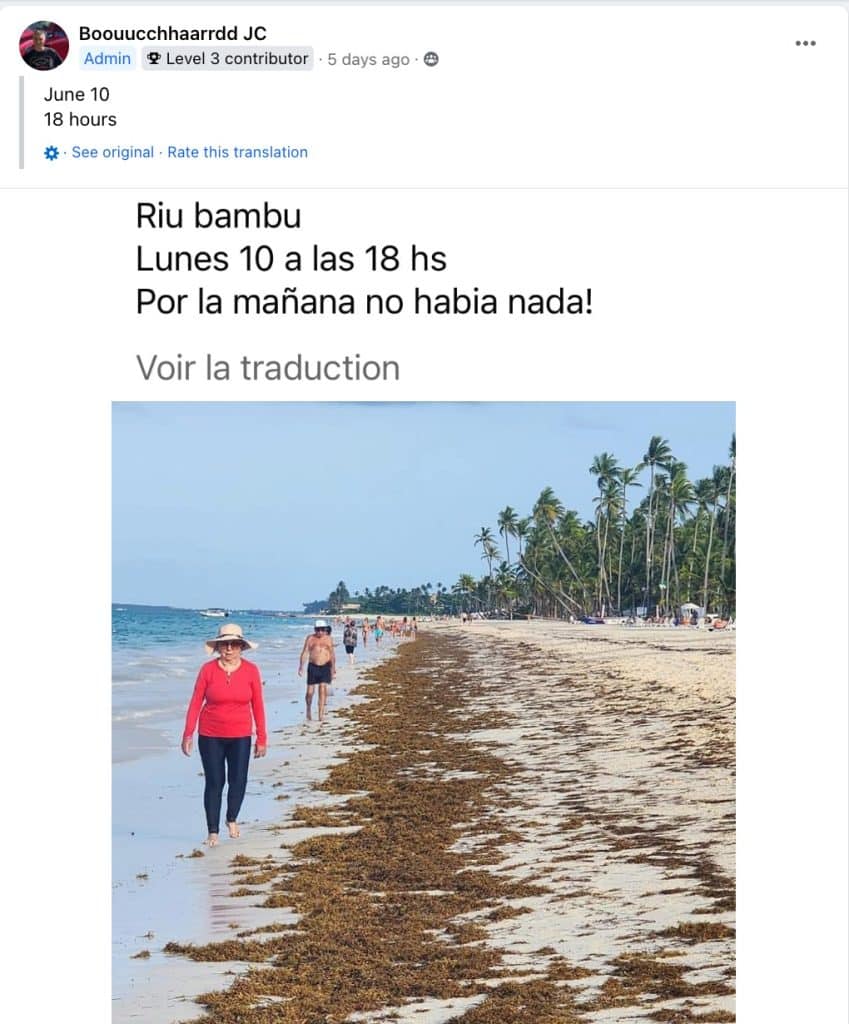 Popular Dominican Republic Beach Battles Sargassum Invasion Along With Trash Problem