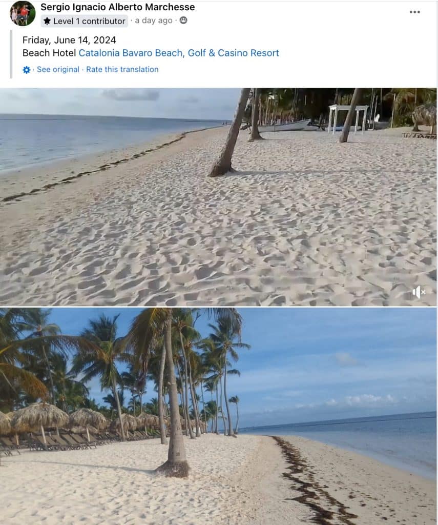 Popular Dominican Republic Beach Battles Sargassum Invasion Along With Trash Problem